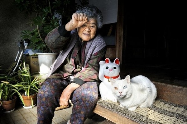 Người phụ nữ hơn 80 tuổi sống hạnh phúc với... mèo 25