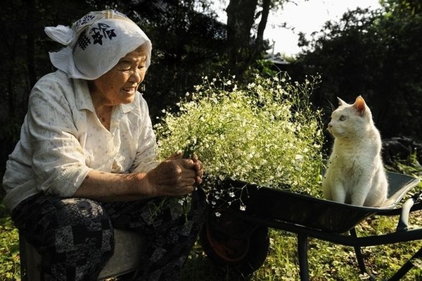 Người phụ nữ hơn 80 tuổi sống hạnh phúc với... mèo 3