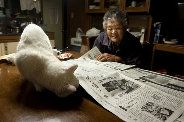 Người phụ nữ hơn 80 tuổi sống hạnh phúc với... mèo 14