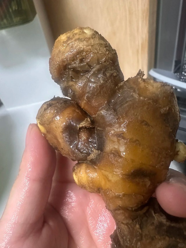 Nhiều chị em trồng gừng bonsai nhưng chẳng được mấy ngày đã thối um cả nhà, đây là lý do chí mạng - Ảnh 4. Nhiều chị em trồng gừng bonsai nhưng chẳng được mấy ngày đã thối um cả nhà, đây là lý do chí mạng - Ảnh 4.