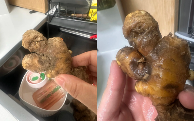 Nhiều chị em trồng gừng bonsai nhưng chẳng được mấy ngày đã thối um cả nhà, đây là lý do chí mạng - Ảnh 1. Nhiều chị em trồng gừng bonsai nhưng chẳng được mấy ngày đã thối um cả nhà, đây là lý do chí mạng - Ảnh 1.