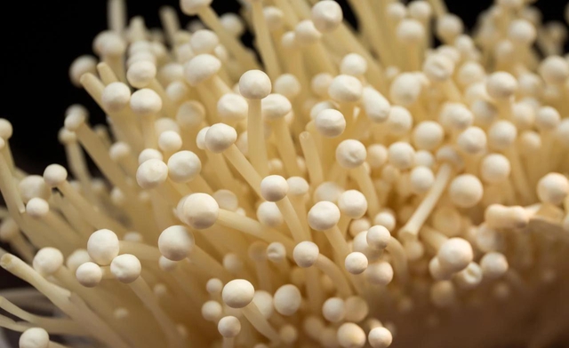 5 loại rau củ mùa đông mẹ đảm tuyệt đối đừng mua kẻo hại cả nhà, nhất là loại thứ 2 ai cũng thích - Ảnh 5.