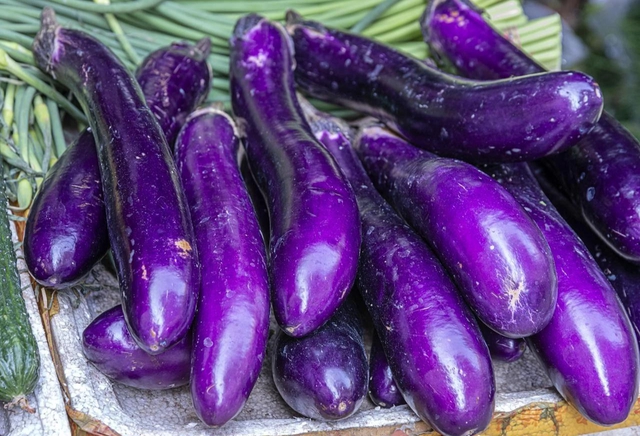 5 loại rau củ mùa đông mẹ đảm tuyệt đối đừng mua kẻo hại cả nhà, nhất là loại thứ 2 ai cũng thích - Ảnh 2.