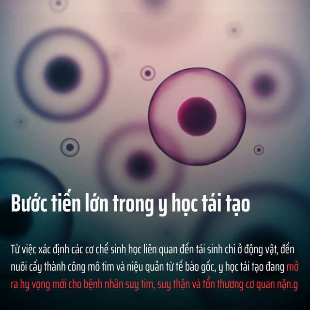 Những đột phá y học nổi bật năm 2025: Khi khoa học không còn ở phòng thí nghiệm mà bước thẳng vào đời sống - Ảnh 3.