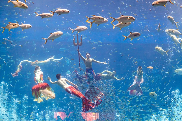 Bắc đảo Ph&uacute; Quốc m&ugrave;a đẹp nhất năm đ&aacute;nh thức mọi gi&aacute;c quan du kh&aacute;ch - Ảnh 8.