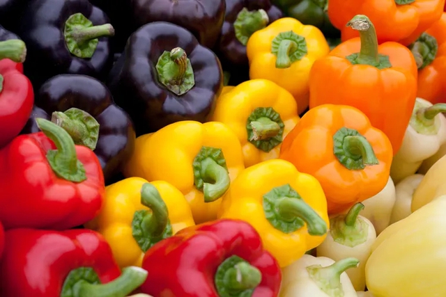 Không cần tốn nhiều tiền đầu tư mà tóc vẫn mọc nhanh và chắc khỏe, biết cách đơn giản này chắc chắn chị em nào cũng làm ngay - Ảnh 10.