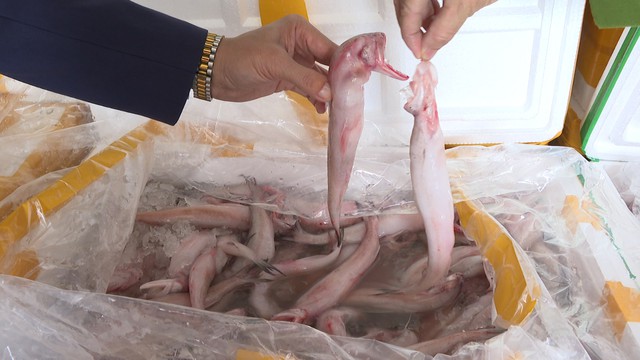 7 tấn c&aacute; khoai chứa formol bị thu giữ: Thực phẩm chứa chất cấm len lỏi v&agrave;o bữa ăn người Việt như thế n&agrave;o? - Ảnh 1.