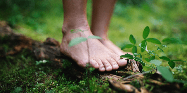 Mỗi s&aacute;ng h&atilde;y đi bộ ch&acirc;n trần tr&ecirc;n cỏ  - Ảnh 4.