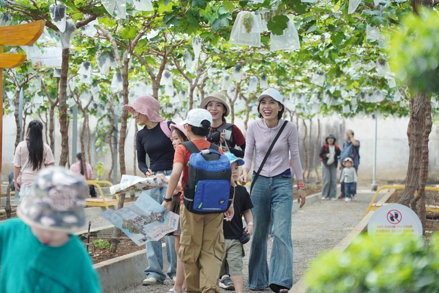 Những hoạt động vui chơi giải trí không thể bỏ qua dịp Tết Dương lịch 2026 ở TPHCM - Ảnh 4.