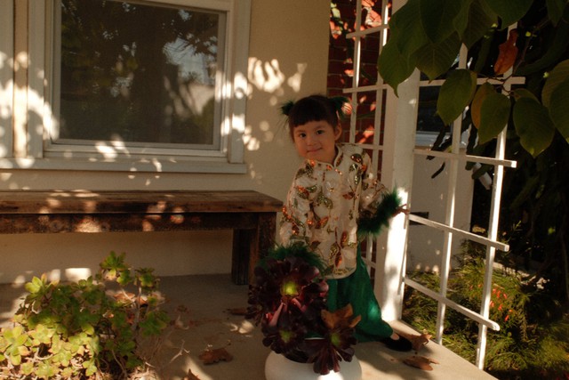 Pam yêu Ơi - Ảnh 2.