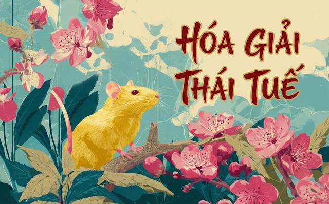 Vì sao các chuyên gia phong thủy luôn khuyên: Đừng đợi đến năm 2026 mới lo chuyện giải hạn Thái Tuế? - Ảnh 2.