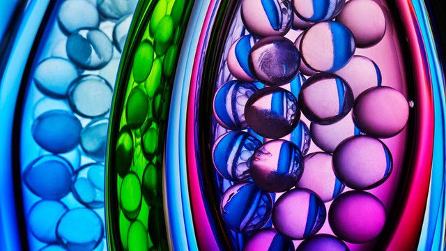 Buồng trứng - &ldquo;ch&igrave;a kh&oacute;a b&iacute; mật&rdquo; quyết định tuổi thọ v&agrave; cuộc sống của phụ nữ: Tại sao buồng trứng l&atilde;o h&oacute;a nhanh hơn c&aacute;c bộ phận kh&aacute;c? - Ảnh 1.