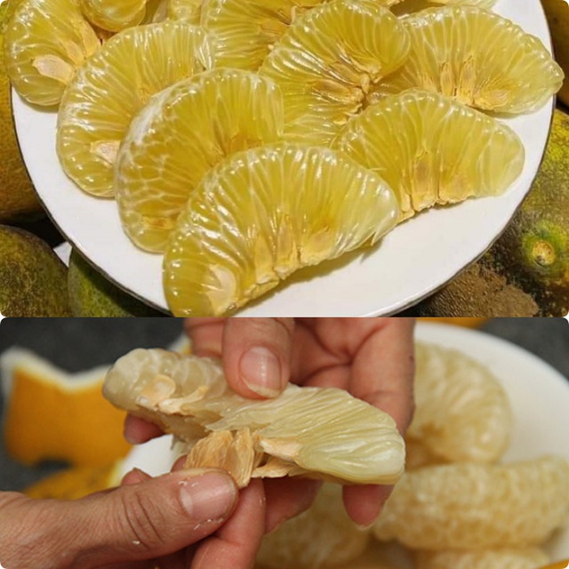 Gi&aacute;p Tết nh&agrave; la liệt bưởi, t&ocirc;i tận dụng hạt bưởi để ủ t&oacute;c: Chỉ 1 lần ủ đ&atilde; cho kết quả ngo&agrave;i mong đợi - Ảnh 1.