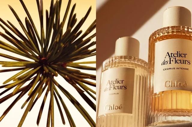 Từ Chanel đến MFK: 8 chai nước hoa mang vibe gi&agrave;u c&oacute;, sang trọng v&agrave; đầy tự tin - Ảnh 10.