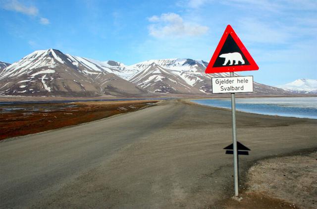 Kỳ lạ quy định cấm qua đời ở Longyearbyen: Thị trấn đẹp như c&otilde;i ti&ecirc;n - Ảnh 4.
