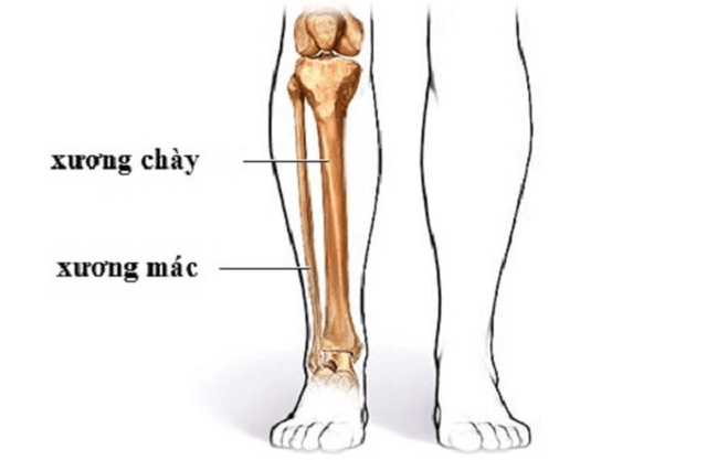 Món quà đặc biệt dịp 27/2: Cứu đôi chân bé gái 8 tuổi khỏi nguy cơ tàn phế vì ung thư sụn - Ảnh 1.