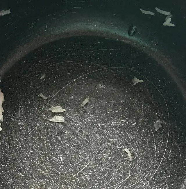 Cuối năm dọn nhà, có 3 thứ đồ cũ, dù nghèo mấy cũng đừng giữ lại: Không phải nói cho vui, đó là kinh nghiệm xương máu - Ảnh 3.