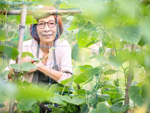 Khi về gi&agrave;, bố mẹ t&ocirc;i ng&agrave;y n&agrave;o cũng ăn ngo&agrave;i. B&aacute;c sĩ: Chế độ ăn uống c&acirc;n bằng hầu như kh&ocirc;ng ảnh hưởng đến tuổi thọ; việc thưởng thức m&oacute;n ăn quan trọng hơn - Ảnh 3.