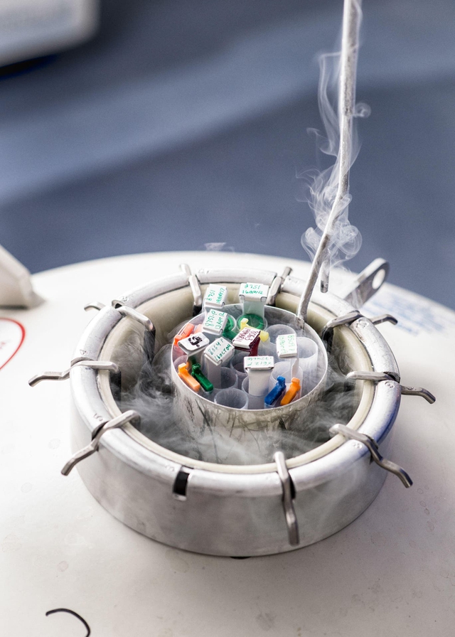 Nữ ca sĩ quyết định trữ đông trứng 2 lần khi mới ngoài 20 tuổi: Nhiều phụ nữ ngoài 30 mới thấy đây là lựa chọn khôn ngoan - Ảnh 2.