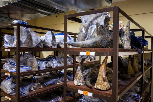 Đại gia kim cương Chu Đăng Khoa bị bắt - Ảnh 1.