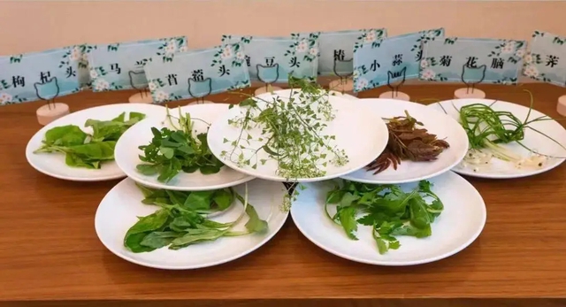 Tại sao chúng ta nên ăn nhiều rau củ sẫm màu, đáng tiếc nhiều người Việt vẫn ăn thiếu mỗi ngày - Ảnh 2.