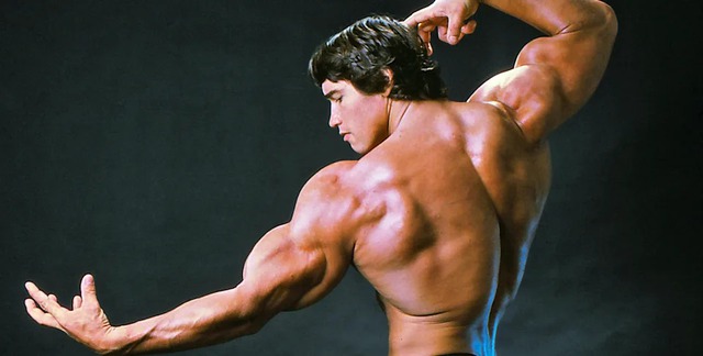 Ảo vọng cơ bắp: Từ Zoro của Mackenyu đến thực tế phũ phàng của Hollywood và ngành gym - Ảnh 2.