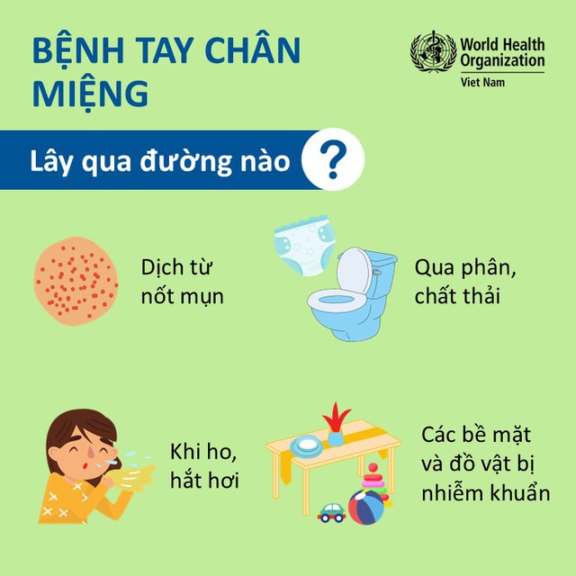 Dịch tay chân miệng ở trẻ nhỏ: Nhận biết sớm, chăm đúng cách để tránh biến chứng nguy hiểm - Ảnh 1.