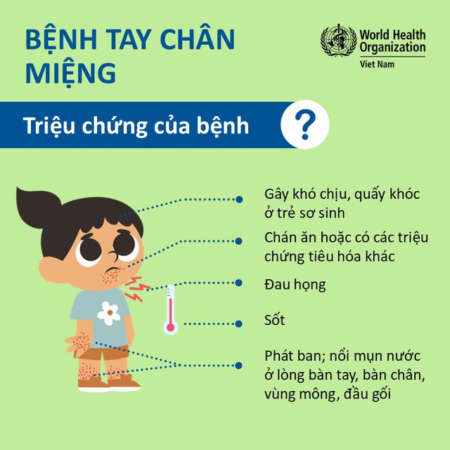 Dịch tay chân miệng ở trẻ nhỏ: Nhận biết sớm, chăm đúng cách để tránh biến chứng nguy hiểm - Ảnh 2.