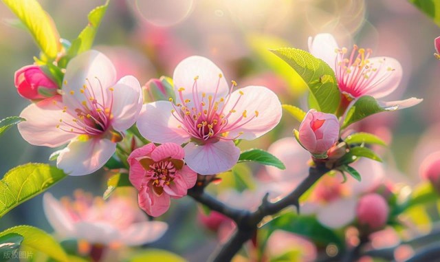 Sau 40 tuổi, vào mùa xuân nên 