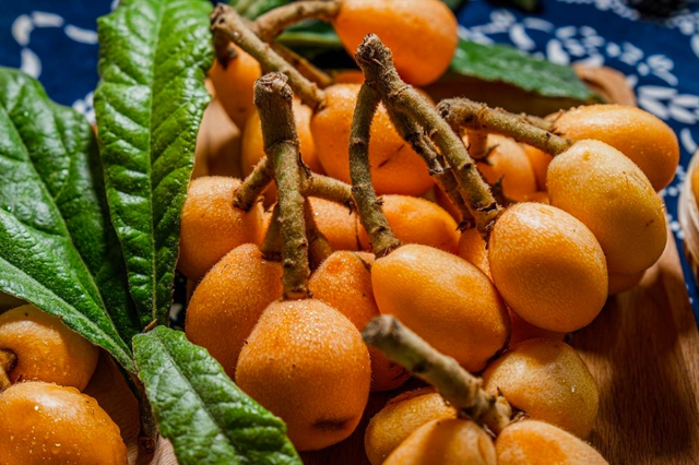 3 loại “trái cây vàng” giúp tiêu đờm, làm sạch phổi: Nhiều người ăn mỗi ngày mà không biết lợi ích - Ảnh 5.