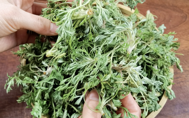 Món rau ngải đắng hấp: Thưởng thức vị ngon của mùa xuân - Ảnh 4. Món rau ngải đắng hấp: Thưởng thức vị ngon của mùa xuân - Ảnh 4.