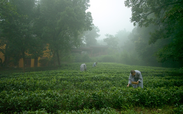 Nghệ thuật "tu khổ hạnh" xa xỉ của phú bà U40: Đốt chục ngàn đô để quét lá đa và tậu lấy sự vô danh - Ảnh 3.