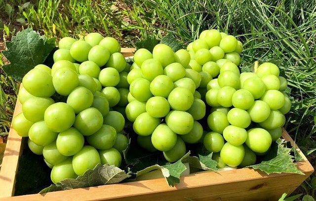 Nhiều người Việt mắc sai lầm n&agrave;y: Ăn tr&aacute;i c&acirc;y ngay sau bữa ăn g&acirc;y hại kh&ocirc;ng ngờ - Ảnh 2.