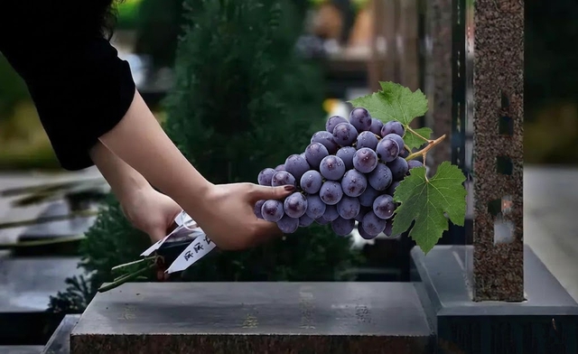 Đi tảo mộ Thanh Minh nhớ kỹ quy tắc 