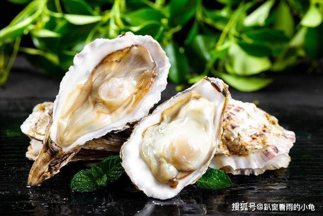 Loại hải sản này vừa béo vừa ngon, giàu protein và dinh dưỡng, 2 cách chế biến tại gia ăn hoài không chán! - Ảnh 1.