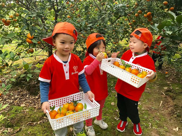 Dịp nghỉ lễ này chơi gì cùng con? 40 hoạt động đơn giản, ít tốn kém nhưng vừa “chữa lành” vừa giúp trẻ mở mang hiểu biết - Ảnh 2.