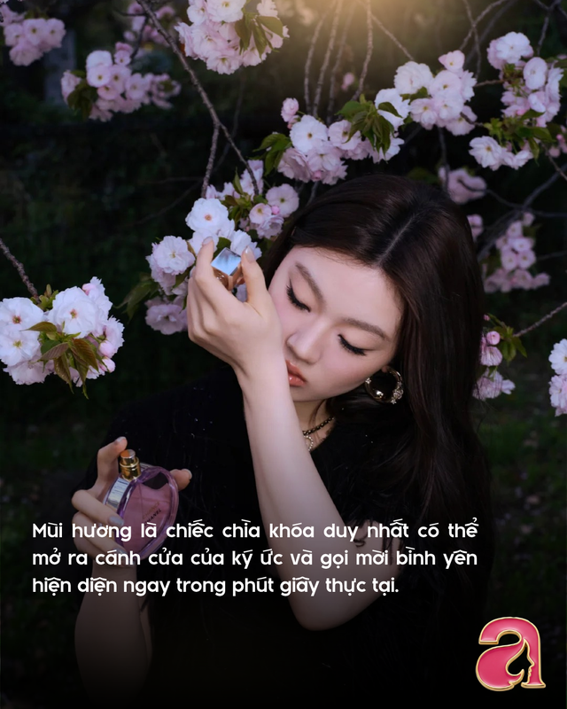 Đổi vận may với 8 lọ nước hoa vỏ cam chanh h&uacute;t lộc dễ chịu năm 2026 - Ảnh 1.