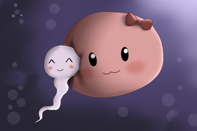 Nam giới nên ăn gì khi chuẩn bị có con? 3 nhóm thực phẩm giúp cải thiện chất lượng tinh binh - Ảnh 2.