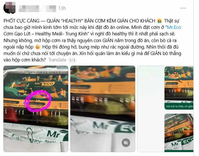 Vụ khách hàng tố có gián trong hộp cơm: Chủ quán nói gì? - Ảnh 1.
