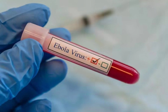 WHO tuyên bố tình trạng khẩn cấp do dịch Ebola chủng mới; Bộ Y tế Việt Nam khẩn trương siết chặt giám sát cửa khẩu - Ảnh 1.