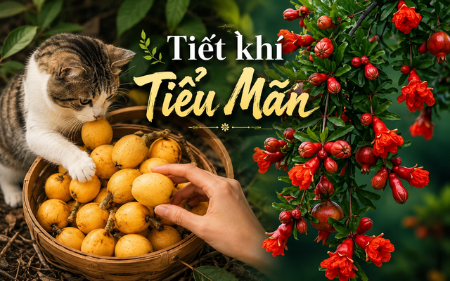 Lời khuy&ecirc;n cho 12 con gi&aacute;p trong tiết Tiểu M&atilde;n - Ảnh 1.