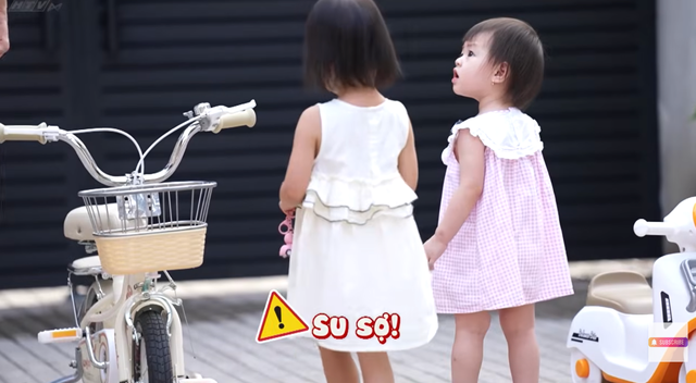 Mom Dương - Ảnh 1.