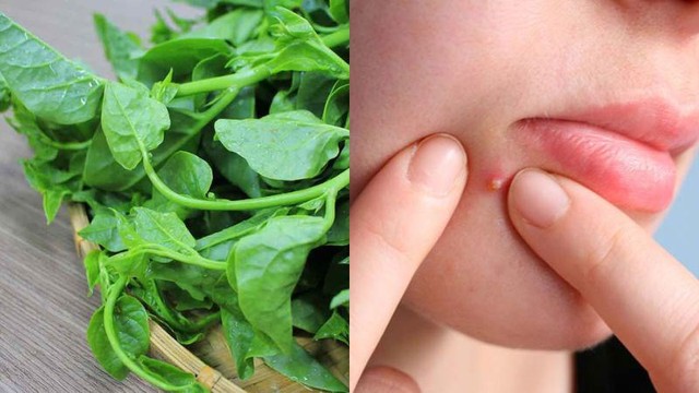 Loại rau có vị nhớt khó ăn nhưng lại được coi là 
