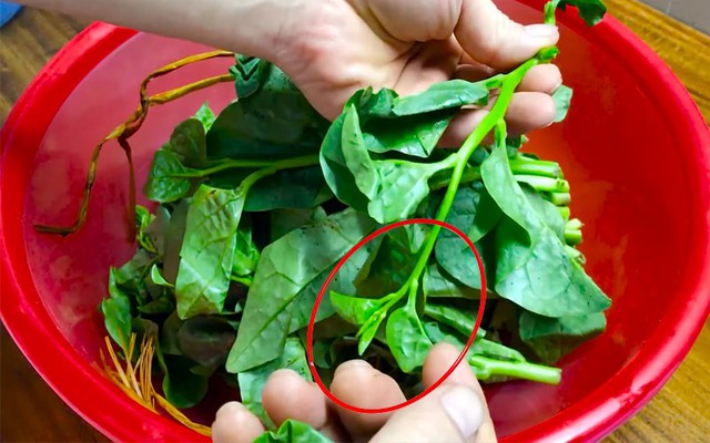 Loại rau có vị nhớt khó ăn nhưng lại được coi là 