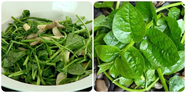 Loại rau có vị nhớt khó ăn nhưng lại được coi là 