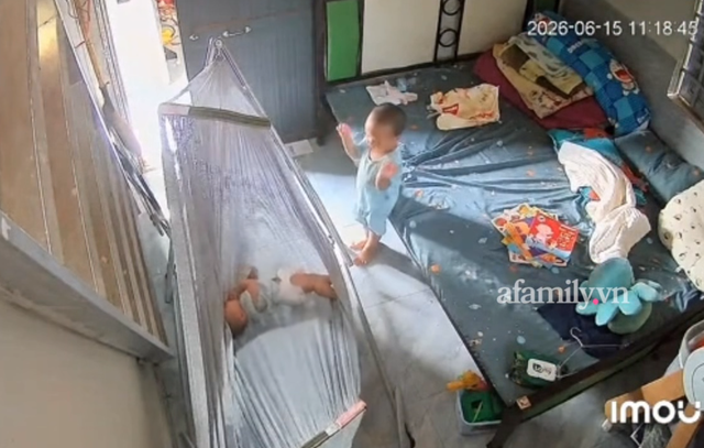 Clip siêu chữa lành: Anh trai 2 tuổi mang cả đàn cò, đàn vịt, đàn ong ra để ru em bé ngủ - Ảnh 1.