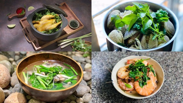 Mùa hè đừng bỏ qua rau lá é: Loại rau dân dã giúp hỗ trợ tiêu hóa, tăng sức đề kháng, càng ăn đúng mùa càng tốt - Ảnh 3.