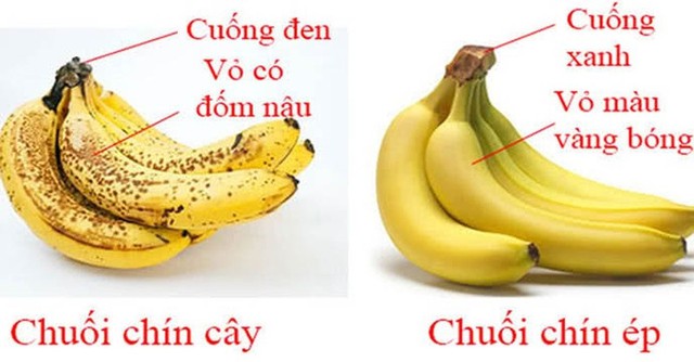 Bị gắn mác gây ung thư: 3 loại trái cây này thực sự nguy hiểm hay chỉ là hiểu nhầm?  - Ảnh 1.