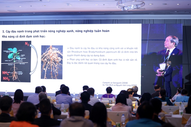 Vai trò dinh dưỡng từ đậu nành và các loại hạt với sức khỏe và phòng chống bệnh không lây nhiễm - Ảnh 5.