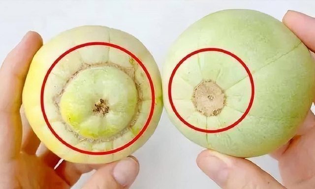 Dưa l&ecirc; đang v&agrave;o m&ugrave;a ngon nhất năm: Ăn m&aacute;t, ngọt thơm nhưng c&oacute; những 